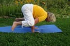 Yoga Bild 1