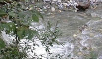 Rock-Water-Quellwasser-Flexibilitaetsbluete- Rock-Water-Quellwasser-Flexibilitaetsbluete-